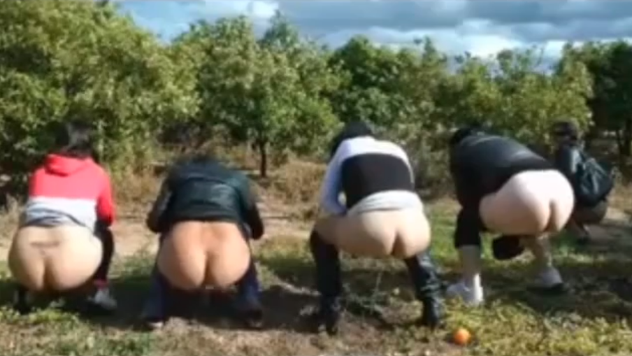 5 Freundinnen scheissen zusammen auf der Wiese
